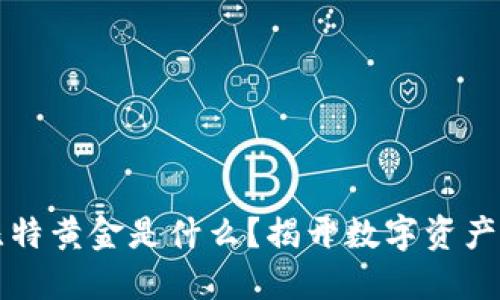 区块链中比特黄金是什么？揭开数字资产的神秘面纱