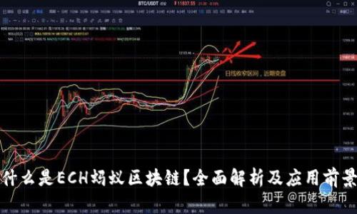 什么是ECH蚂蚁区块链？全面解析及应用前景