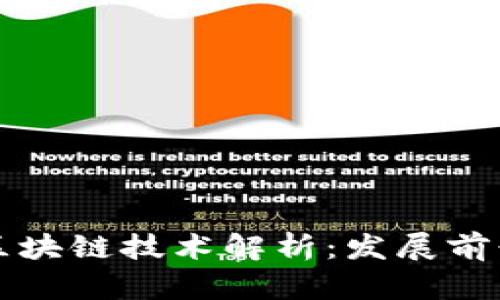 美团公司的区块链技术解析：发展前景与应用实例