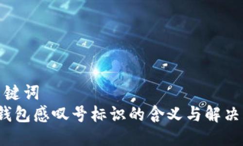 与关键词  
t p钱包感叹号标识的含义与解决方案