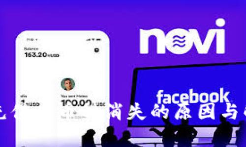 TP钱包充值后币种消失的原因与解决办法