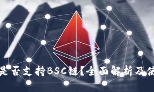 TP钱包是否支持BSC链？全面解析及使用指南