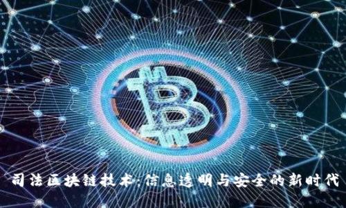 司法区块链技术：信息透明与安全的新时代
