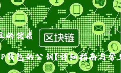 思考一个且的优质

如何找到TP钱包的公钥？详细指南与常见问题解答