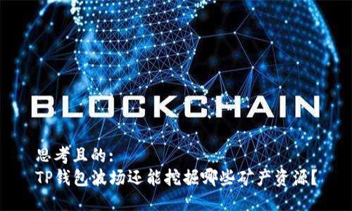 思考且的:  
TP钱包波场还能挖掘哪些矿产资源？