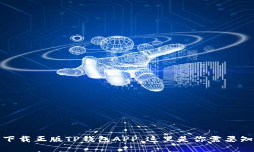 如何安全下载正版TP钱包APP，这里是你需要知道的一切