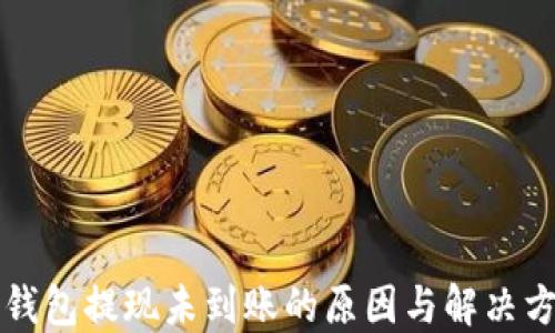 
TP钱包提现未到账的原因与解决方法