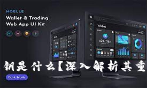 区块链中的私钥是什么？深入解析其重要性与安全性