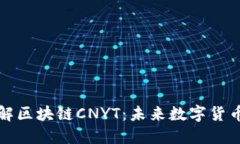 深入了解区块链CNYT：未来