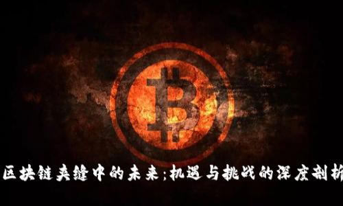 区块链夹缝中的未来：机遇与挑战的深度剖析